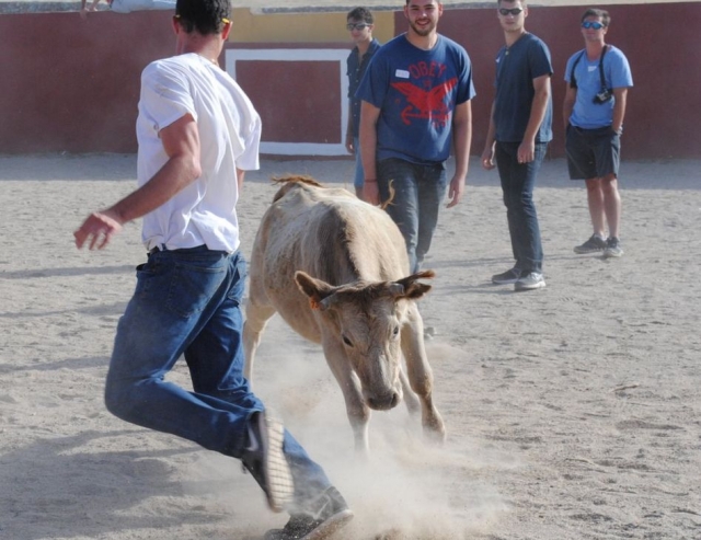Al borde de la cogida